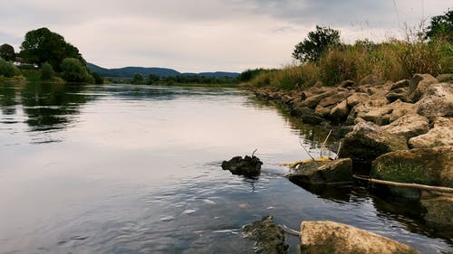 有关天性, 户外, 时间流逝的免费素材视频