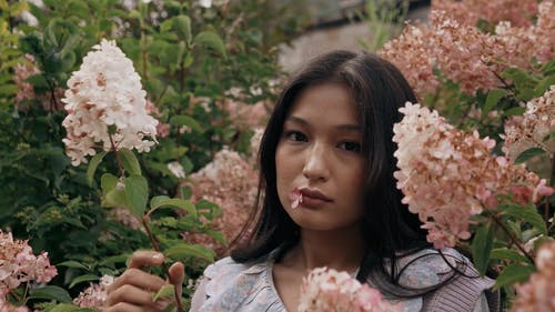 有关@户外, 人, 天性的免费素材视频