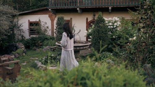 有关@户外, 吃, 喷泉的免费素材视频