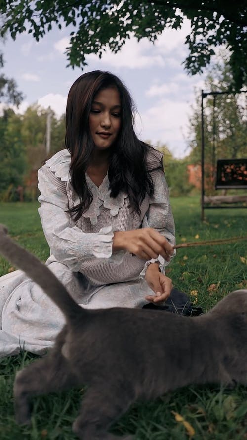 有关动物, 国内, 在地上的免费素材视频