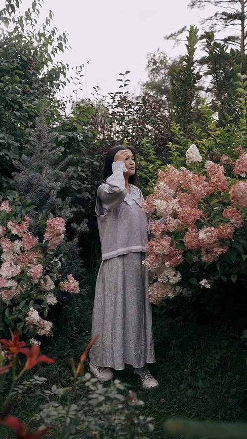 有关@户外, 垂直视频, 天性的免费素材视频