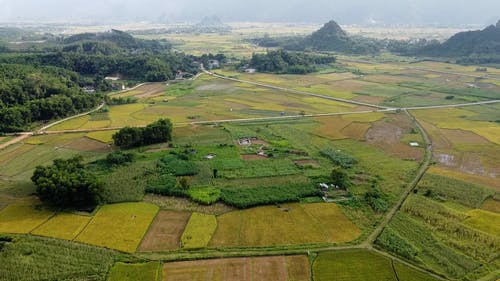 有关农业领域, 城镇, 房子的免费素材视频