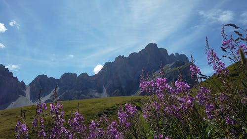 有关壮观, 天性, 山的免费素材视频