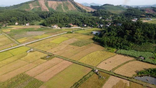 有关农村的场景, 山丘, 建造的免费素材视频