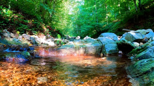 有关天性, 岩石, 平静的水的免费素材视频