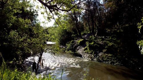 有关天性,小河,性质的免费素材视频