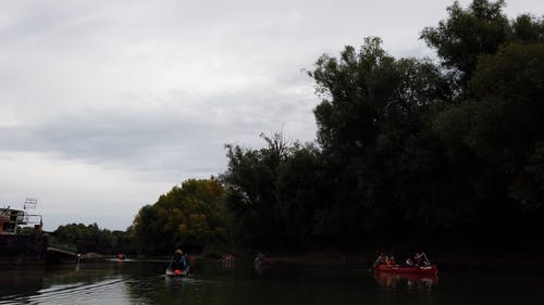 有关休闲, 冒险, 划独木舟的免费素材视频