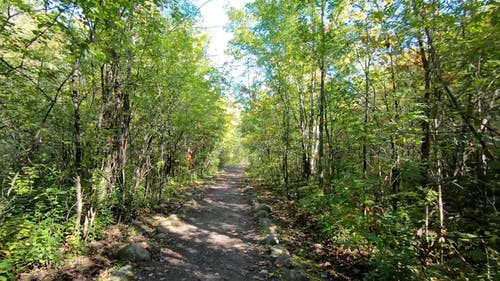 有关天, 天性, 户外的免费素材视频