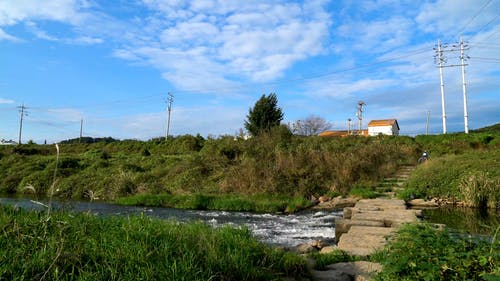 有关人行天桥, 天性, 建造的免费素材视频