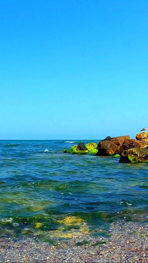 有关垂直视频, 天性, 岩石的免费素材视频