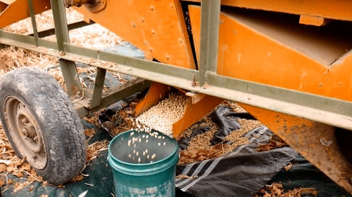 有关下田,咖啡豆,收割机的免费素材视频