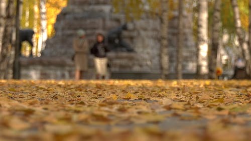 有关人行道, 地面, 户外的免费素材视频