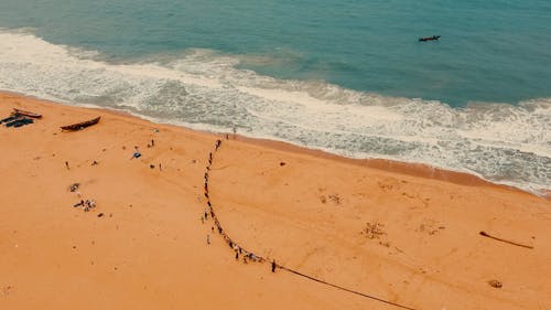 有关一大群人, 户外, 招手的免费素材视频