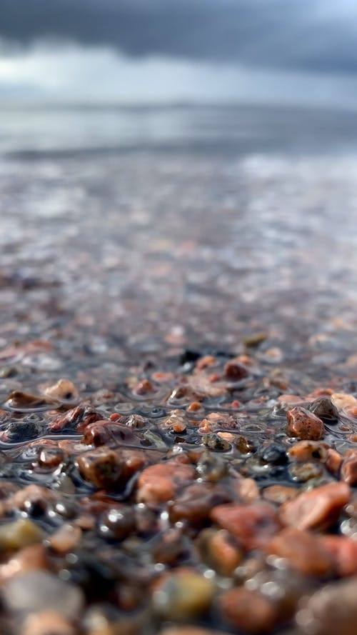 有关垂直视频, 天性, 户外的免费素材视频