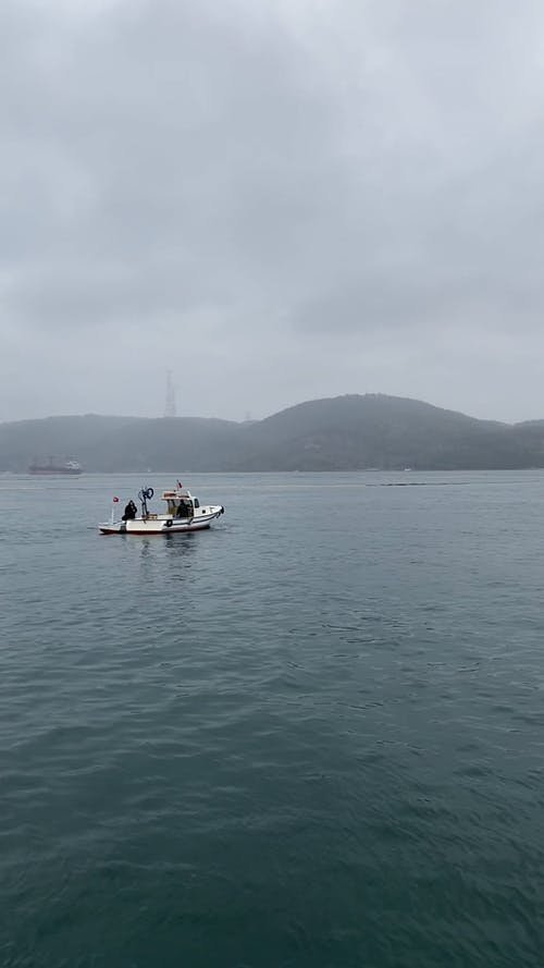 有关人, 动物, 垂直视频的免费素材视频