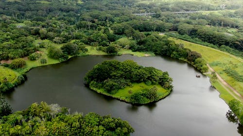 有关天性, 户外, 景观的免费素材视频