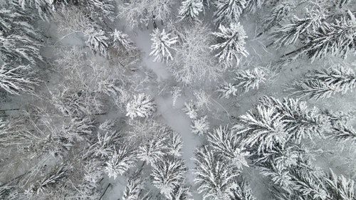 有关下雪,下雪的,似雪的免费素材视频