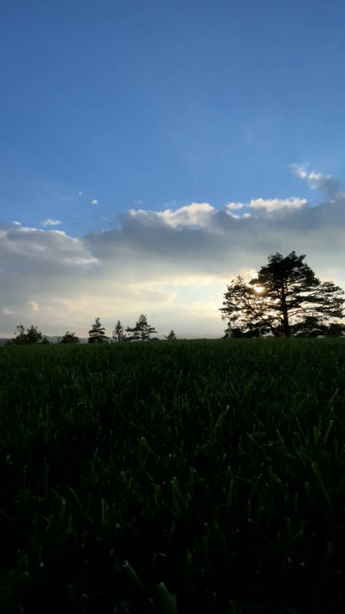 有关垂直视频, 天空, 户外的免费素材视频