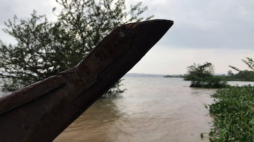 有关一小群人, 一起, 划艇的免费素材视频