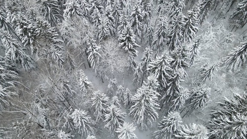 有关下雪,下雪的,似雪的免费素材视频