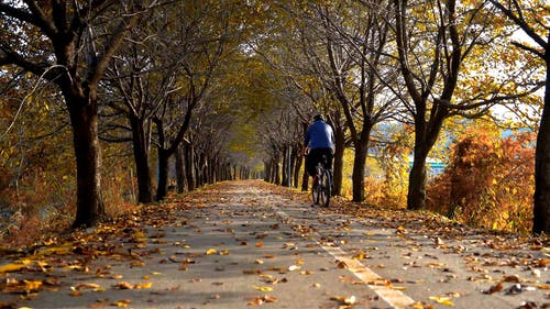 有关人, 健康的生活型态, 公园的免费素材视频