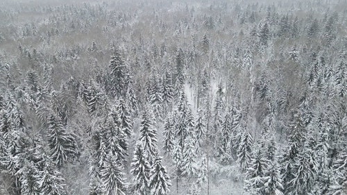 有关下雪,下雪的,似雪的免费素材视频