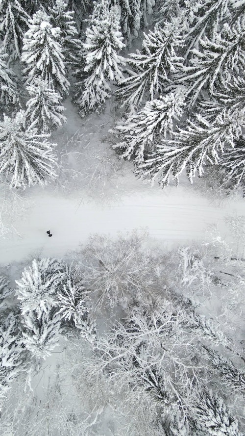 有关下雪,下雪的,似雪的免费素材视频