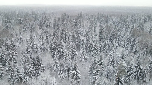 有关下雪,下雪的,似雪的免费素材视频