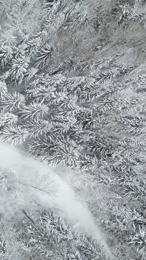 有关下雪的,似雪,冬季的免费素材视频