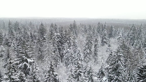 有关下雪,下雪的,似雪的免费素材视频