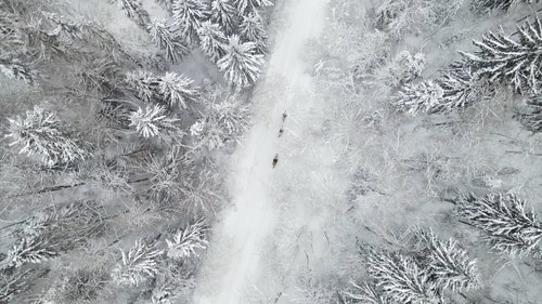 有关下雪的,似雪,冬季的免费素材视频