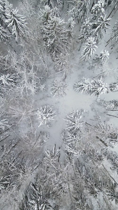 有关下雪,下雪的,似雪的免费素材视频