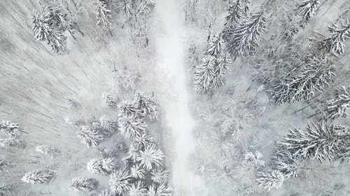 有关下雪的,似雪,冬季的免费素材视频