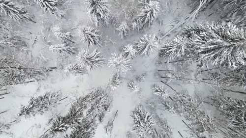 有关下雪,下雪的,似雪的免费素材视频