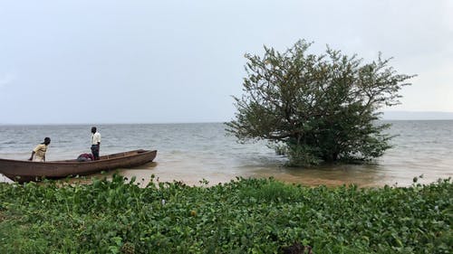 有关一小群人, 一起, 划艇的免费素材视频