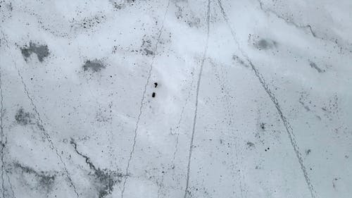 有关人, 冬季, 天性的免费素材视频