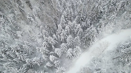 有关下雪,下雪的,似雪的免费素材视频