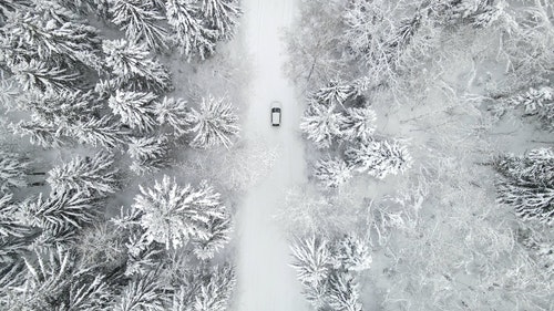 有关下雪,下雪的,似雪的免费素材视频