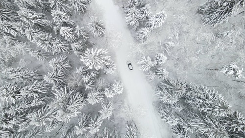 有关下降射门,下雪,下雪的的免费素材视频