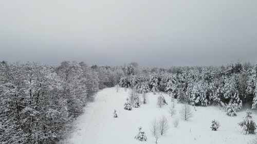 有关下雪,下雪的,似雪的免费素材视频