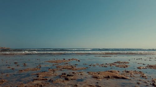 有关天性, 户外, 招手的免费素材视频