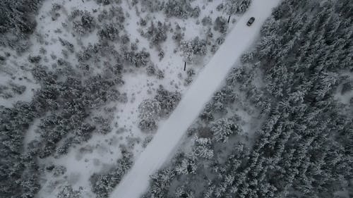 有关冬季, 天性, 季节的免费素材视频