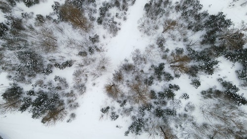 有关下雪的,似雪,冬季的免费素材视频