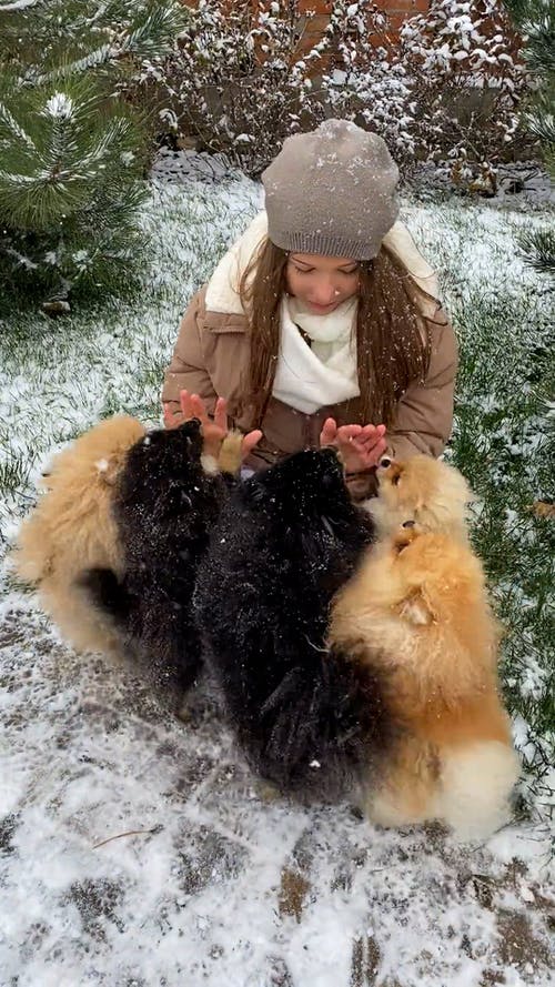 有关下雪, 保暖的衣物, 冬季的免费素材视频
