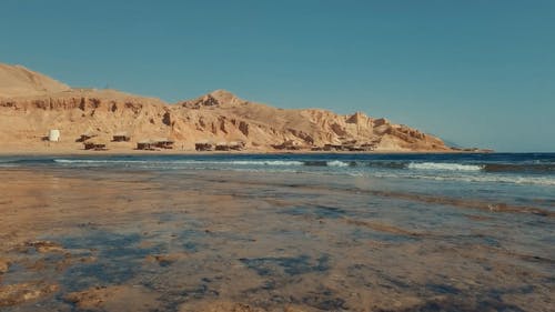 有关天性, 户外, 招手的免费素材视频