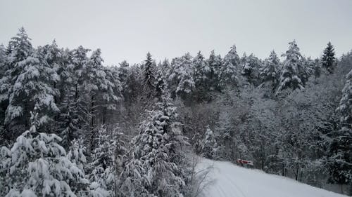 有关冬季, 天性, 季节的免费素材视频