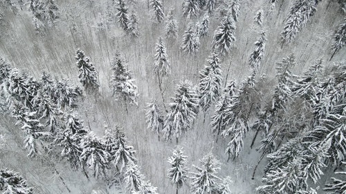 有关下雪,下雪的,似雪的免费素材视频