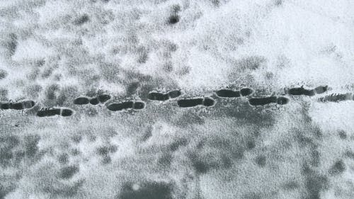 有关冬季, 天性, 户外的免费素材视频