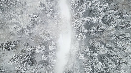 有关下雪,下雪的,似雪的免费素材视频