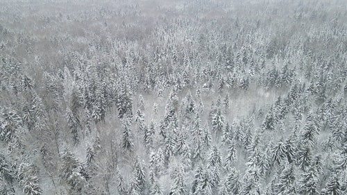 有关下雪,下雪的,似雪的免费素材视频